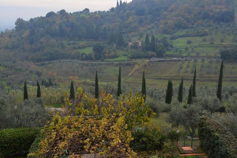B&B All'Infinito Carmignano Exterior photo